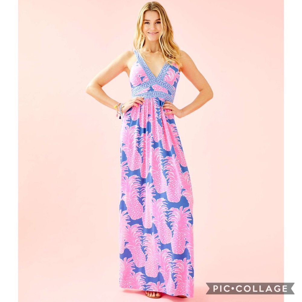 NWT Taryn Maxi- Little Flamenco engineered -size 2